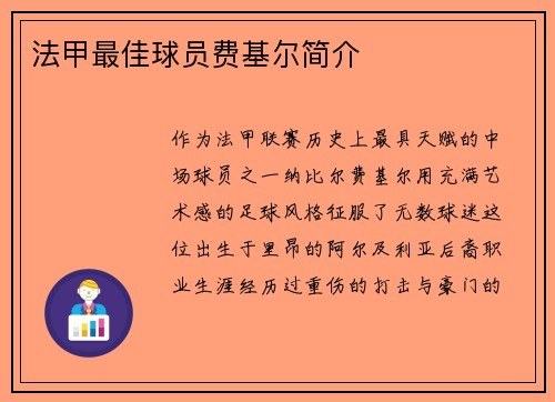 法甲最佳球员费基尔简介