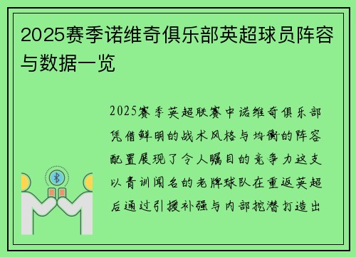 2025赛季诺维奇俱乐部英超球员阵容与数据一览